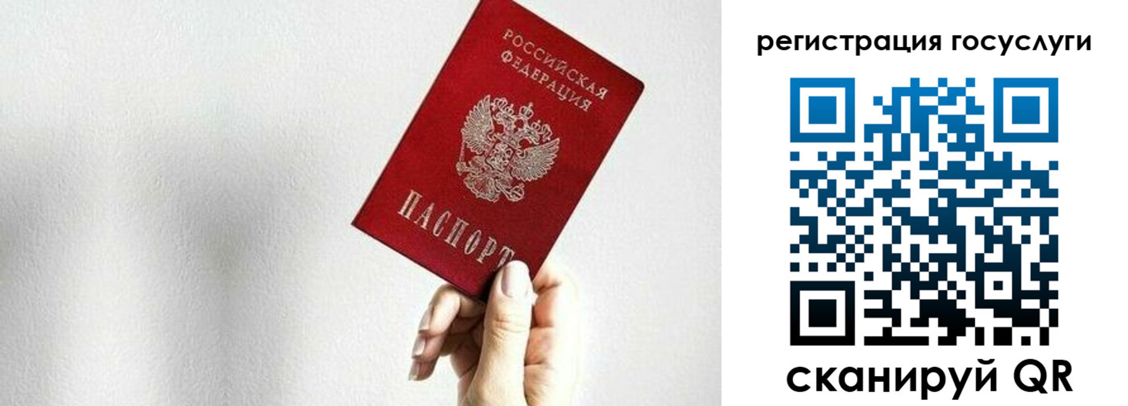 прописка гарантия в Раменском